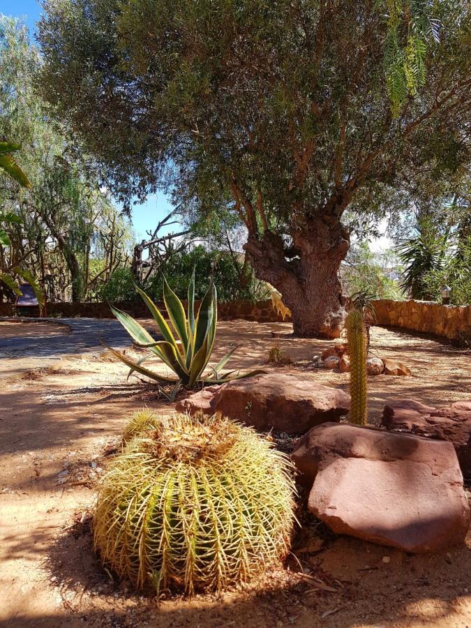 Gato Preto de Silves - Adults Only Exterior foto